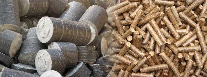 Biomass Briquettes and Biomass Pellets